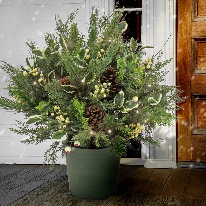 Greenery | National Tree Company 28\ HGTV Home Collection Pre-Lit Holly and Berry Planter Filler F2L4F466